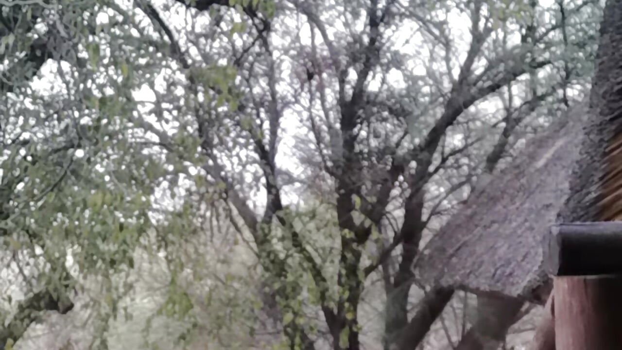 VID_20230923_064712 - video by SA_BULL cam model