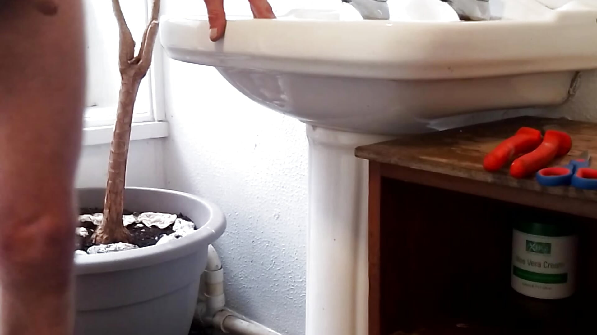 First one - video by Mrleitenant cam model