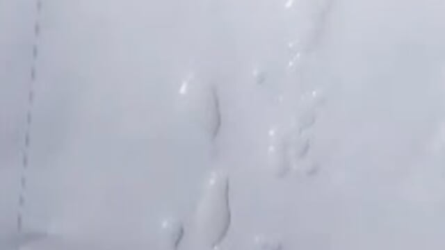 Sperm 🥰😋 - video by Pussy_lover_33 cam model