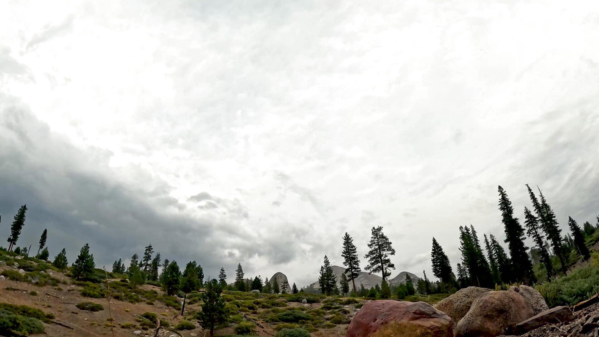 Jacking Off in Nature