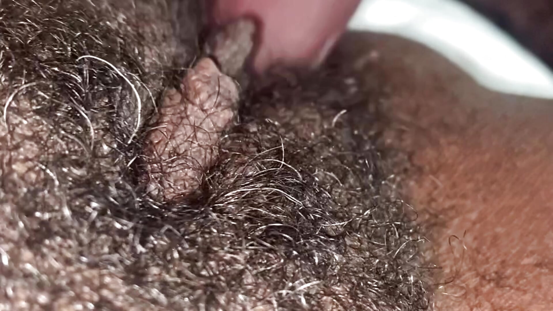 Fuck Hairy Pussy