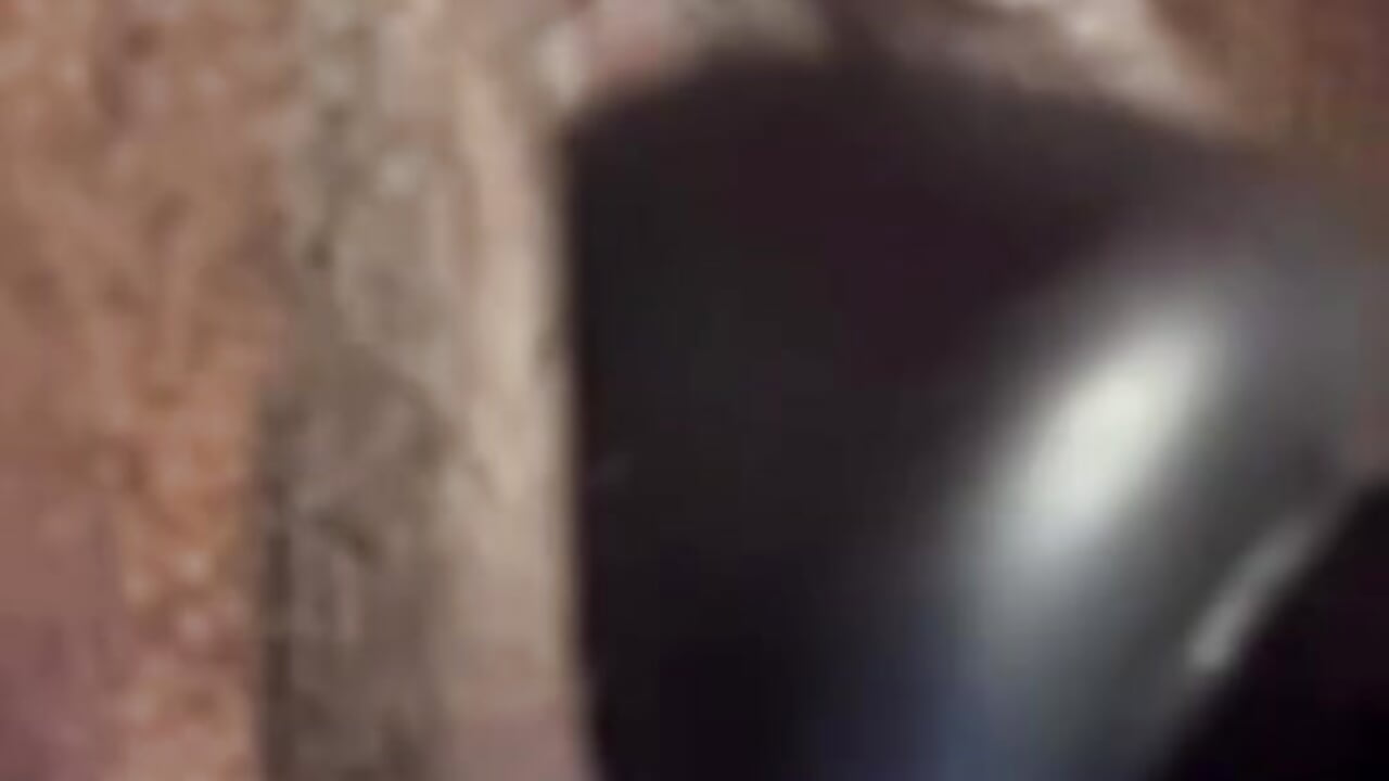 Vibes in my clit