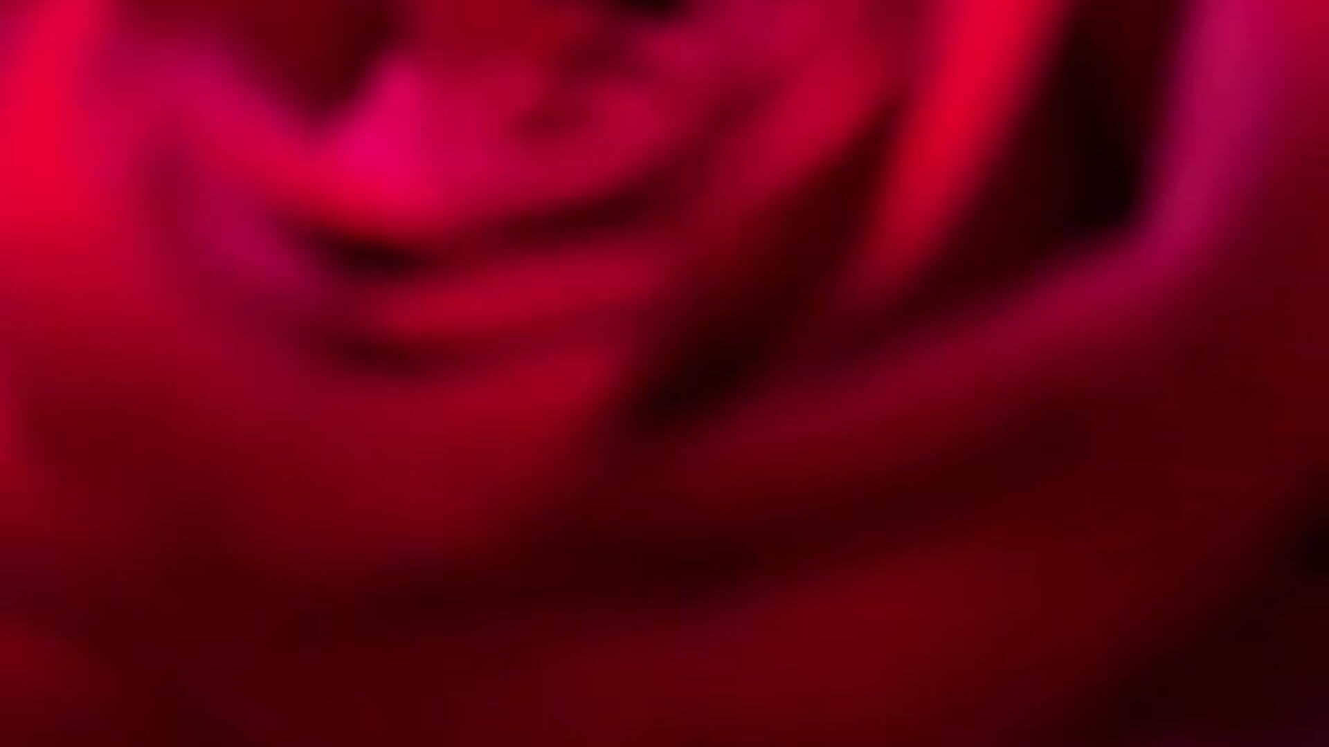 my favorite flowers roses😍😍😍 - video by AmberDismond cam model