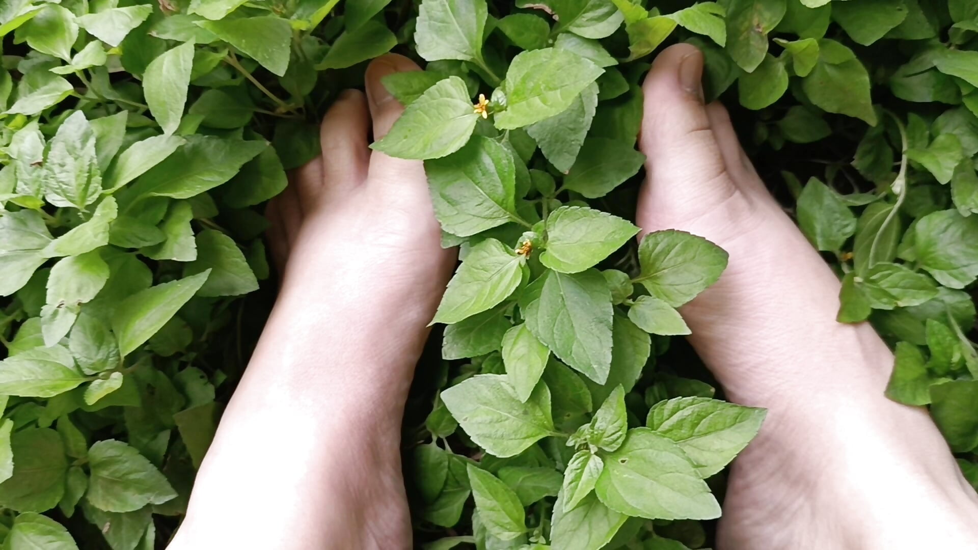 VID_20250602_124937 - video by charlott_ponce cam model