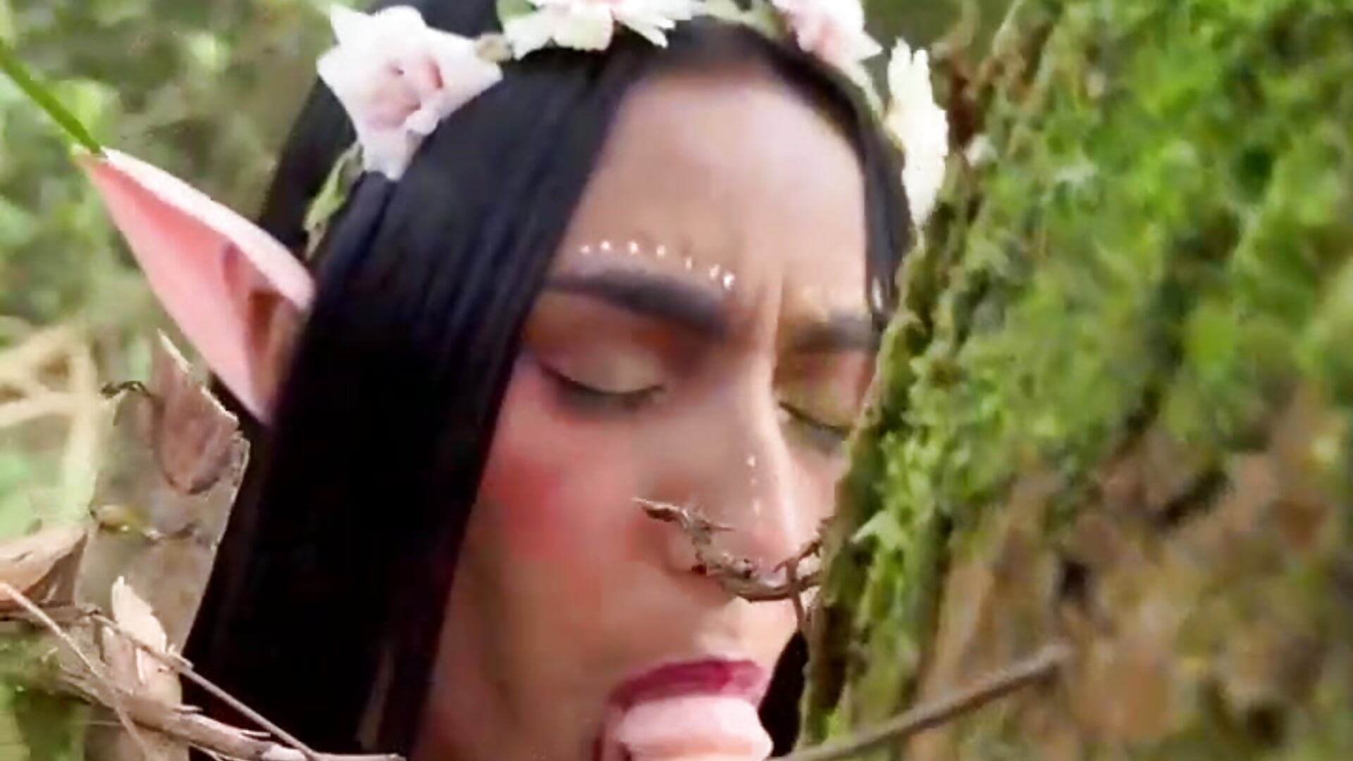 fairy sucking the penis