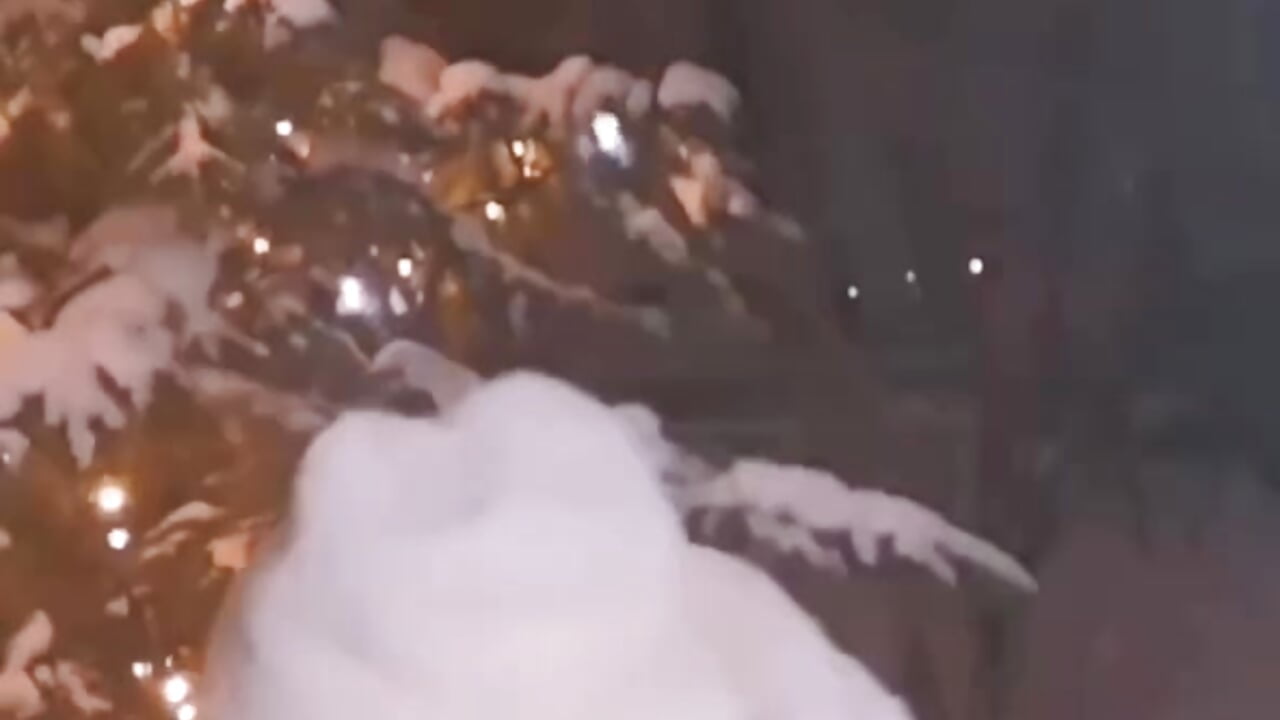 Merry Christmas!🎄