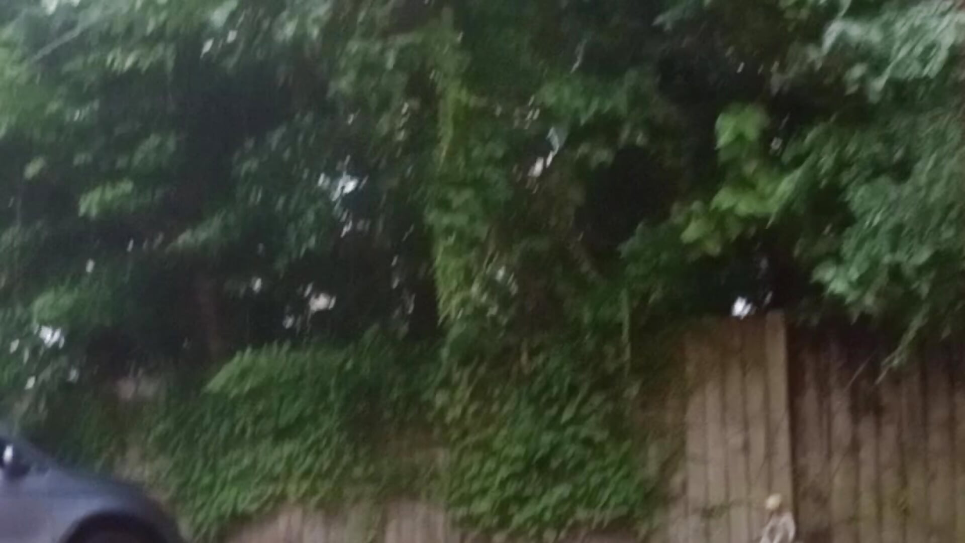 ASMR🎧 Love Waking up To A Stormy Morning 🫶🏾🫶🏾🫶🏾So Therapeutic 🧿🫶🏾♥️Have A Blessed Day🧿 - AmazonianMistress 캠 모델의 동영상