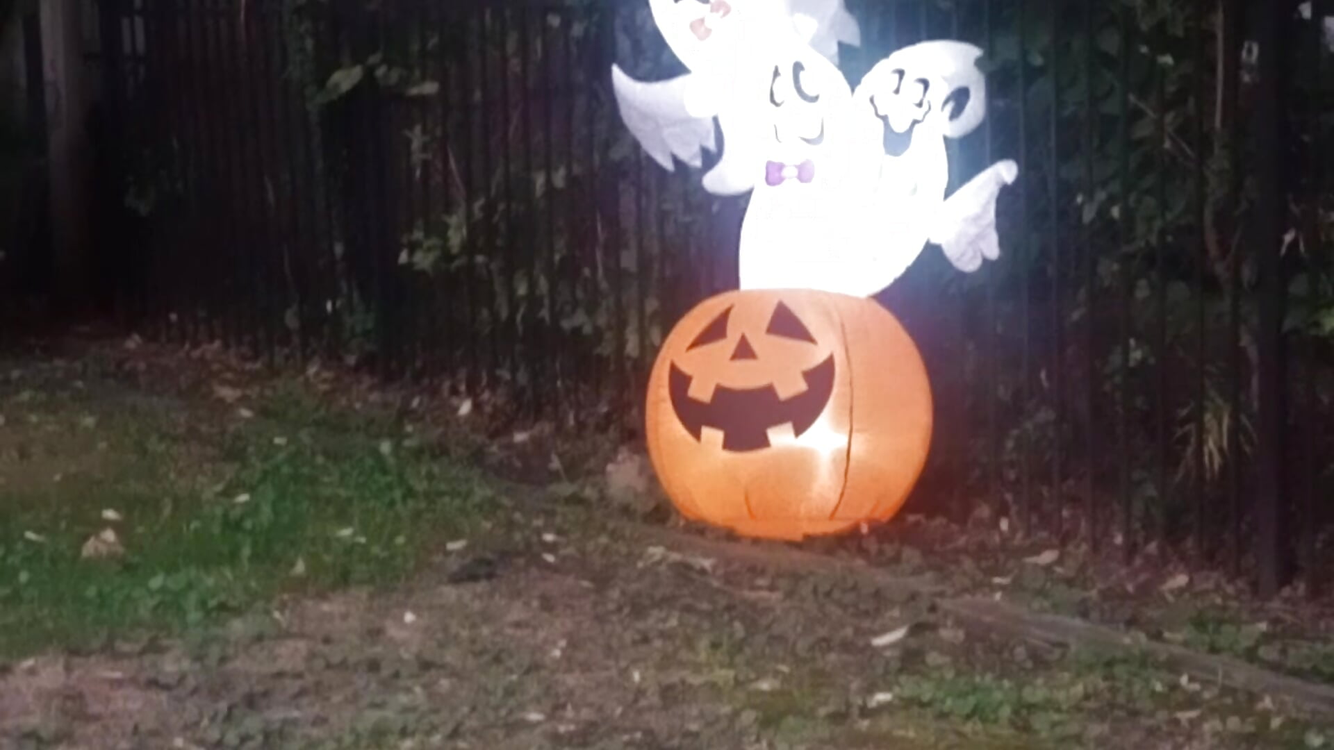 🎃🎃🎃🎃It's Tiiiiiiiiiiiiiiiiiiime 🎃🎃🎃🎃🎃🎃🎃🎃 - AmazonianMistress 캠 모델의 동영상