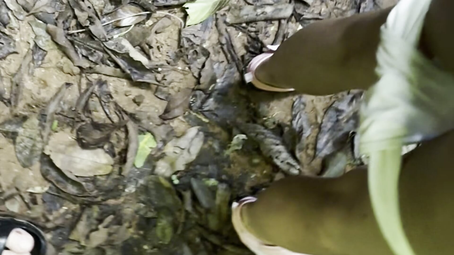 rainforest creampie by stranger! 18 year old backpacker creampie!!  (2)