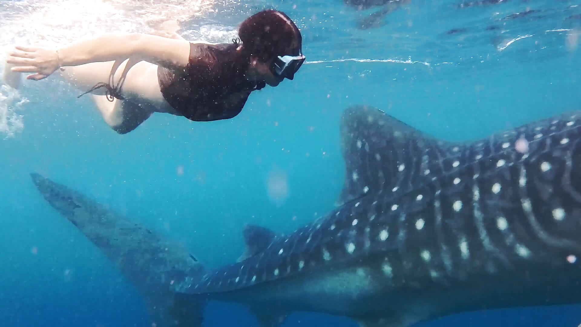 Ceby island - video van HanahW cam-model