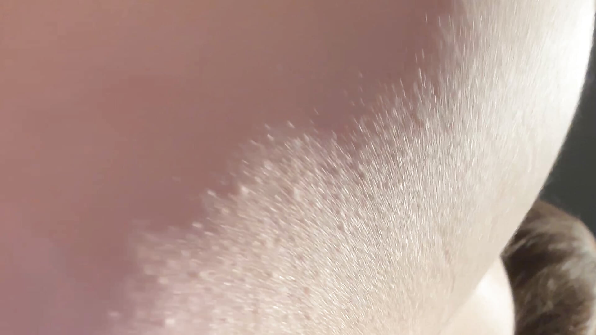 Hot session bouncing ass - video by Redbush1 cam model