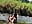 I couldn't resist sucking Indra's tits in the river - video di Thaiio_Star