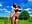 Seduction in the park without bra - video by LovenseLush cam model