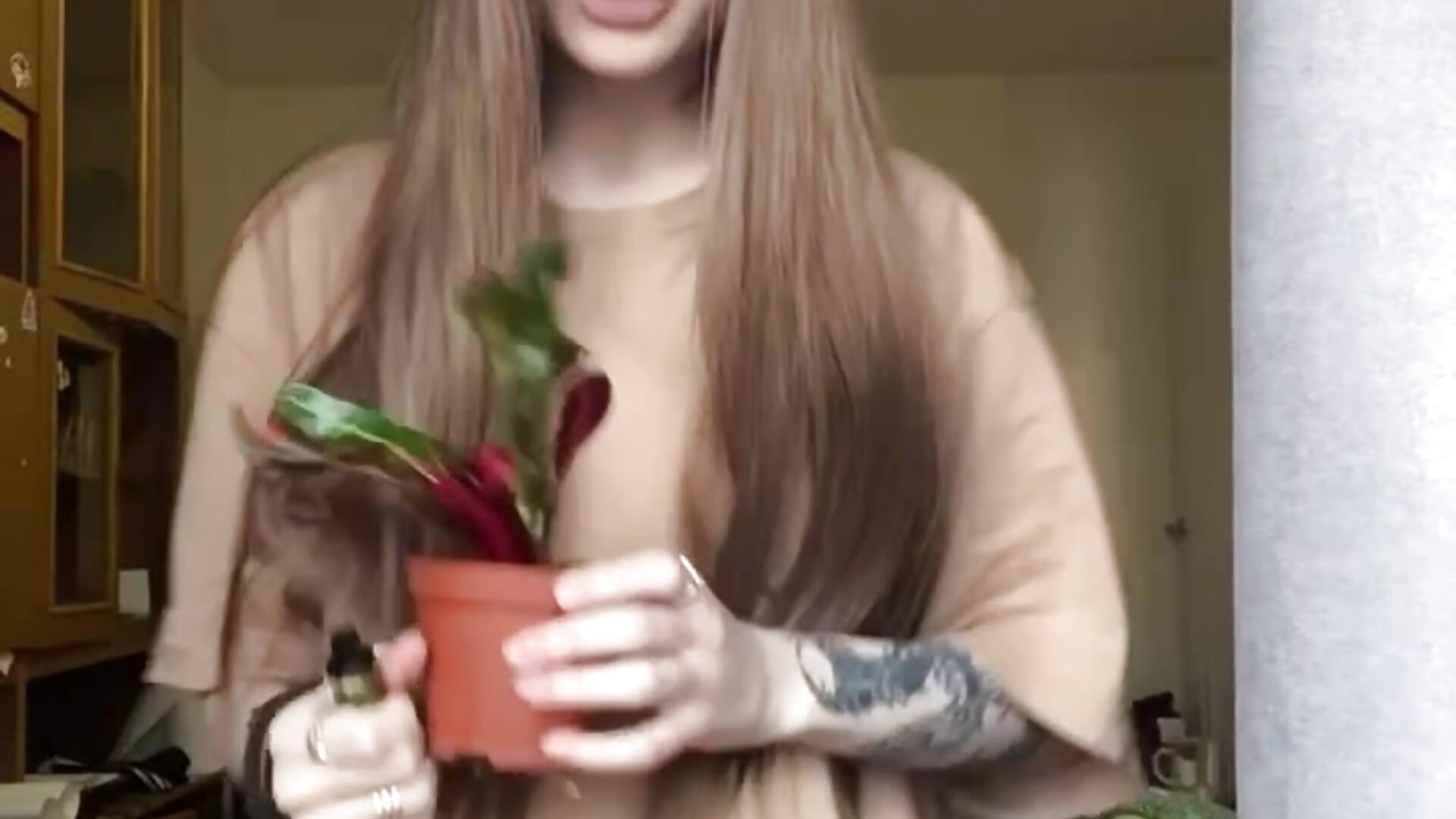 my fucking vibe