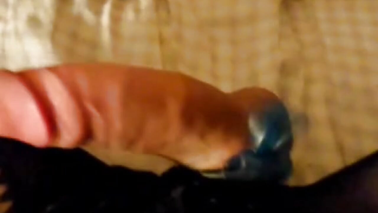 🍆 - video by ZorraidaGiroNina cam model