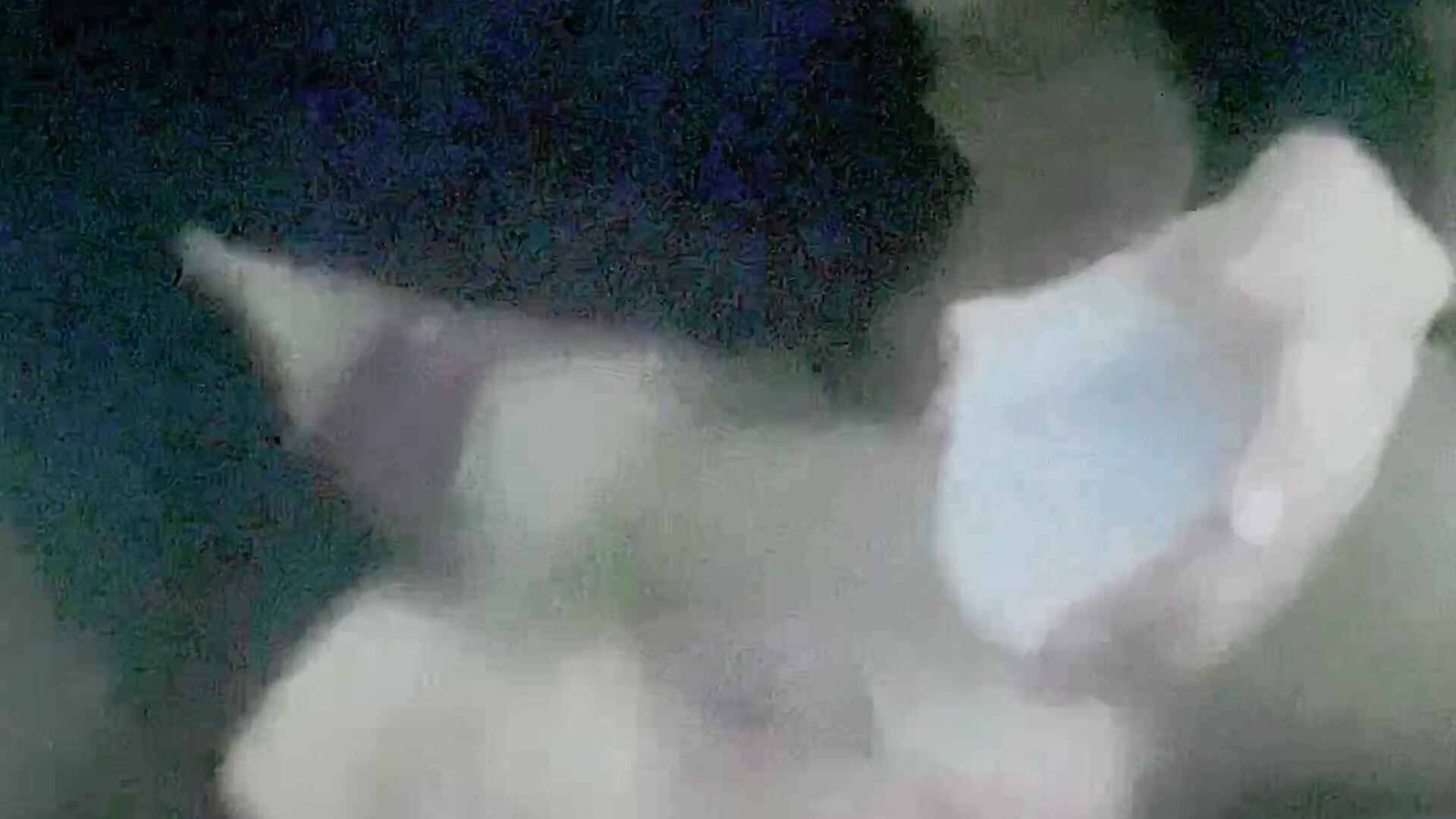 نيك اموت🫦🥵 fuck ass