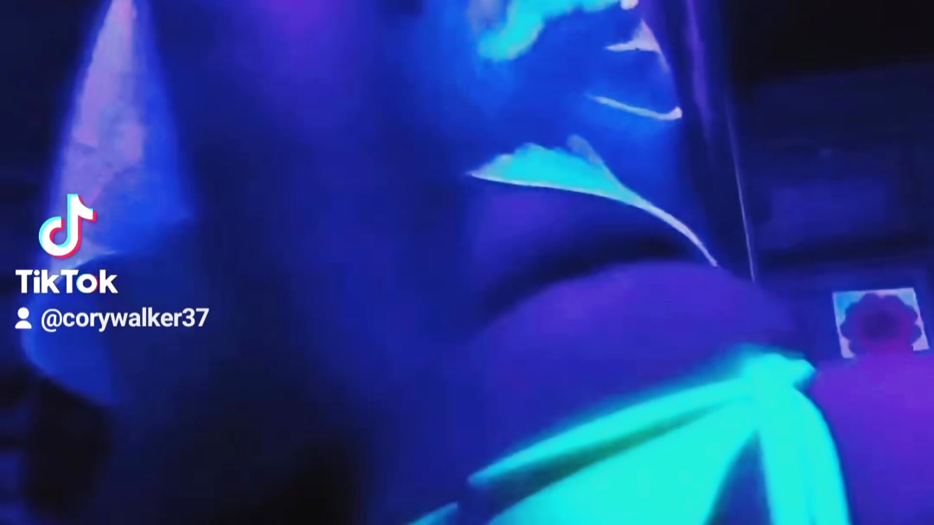 Fun mix - video by Candalicious cam model