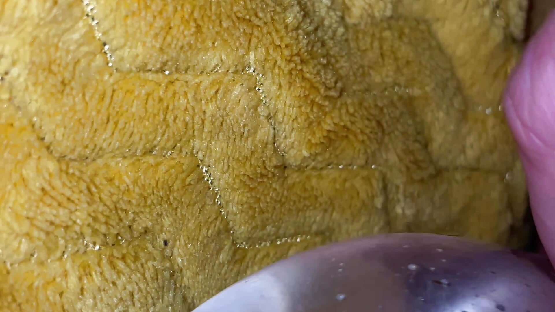 IMG_5636 - video by SauTheGod8