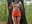 Mastrubate pussy in the Forrest - video van ketadeksa cam-model