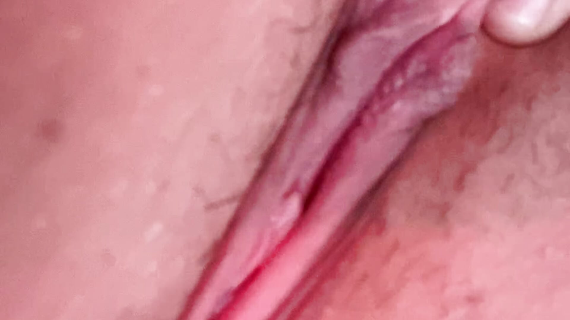 Pussy