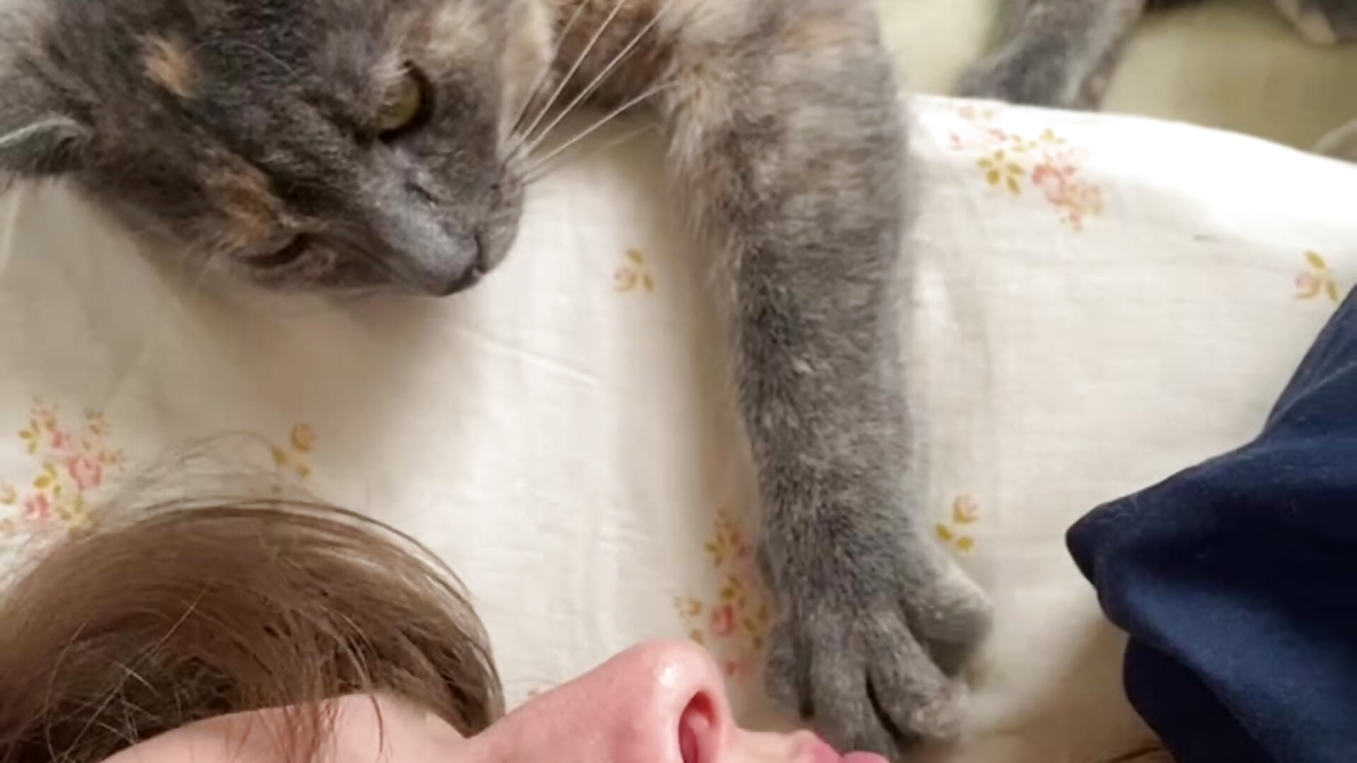 Me and my kitten Misha - video by MikkyMoony cam model