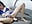 EROTIC CUM ANAL - video by Kattycar cam model