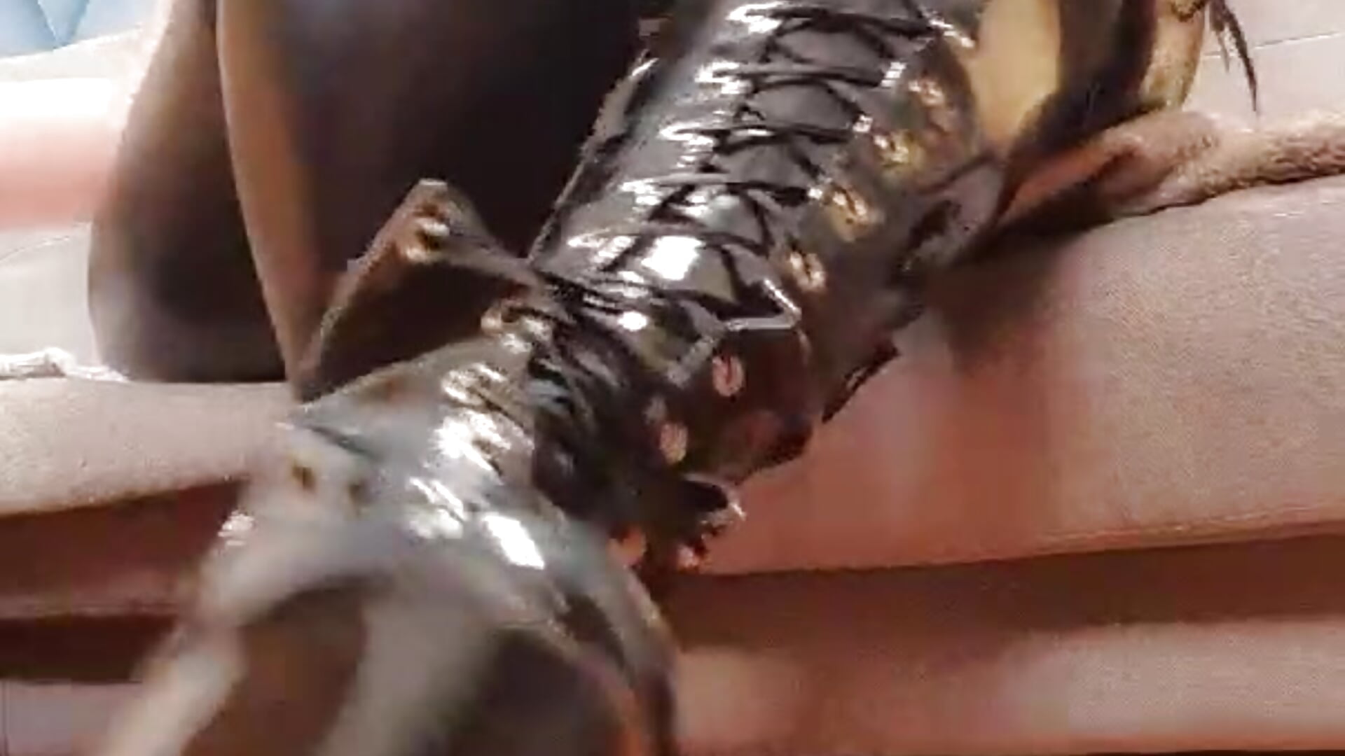 Take them off & worship - video by IzabelllNoir cam model