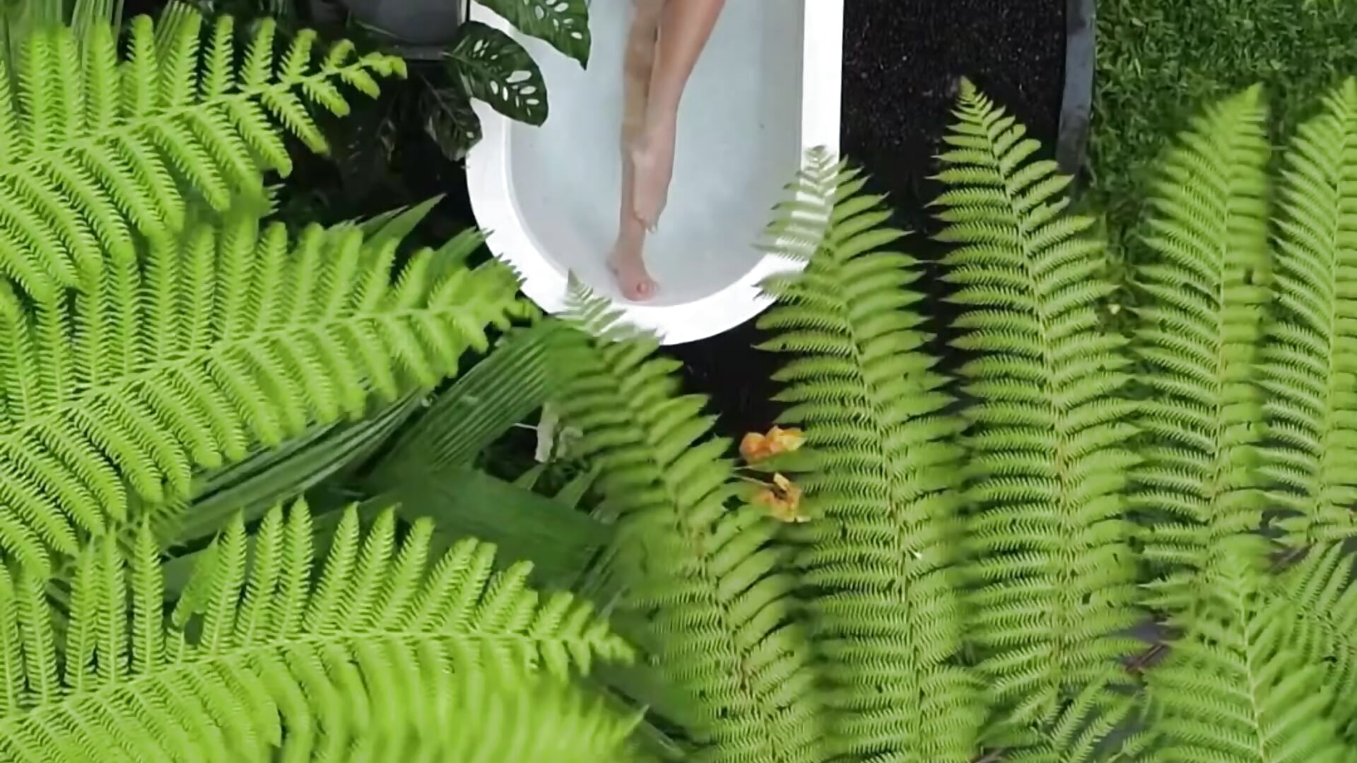 Orgasm in a jungle bath