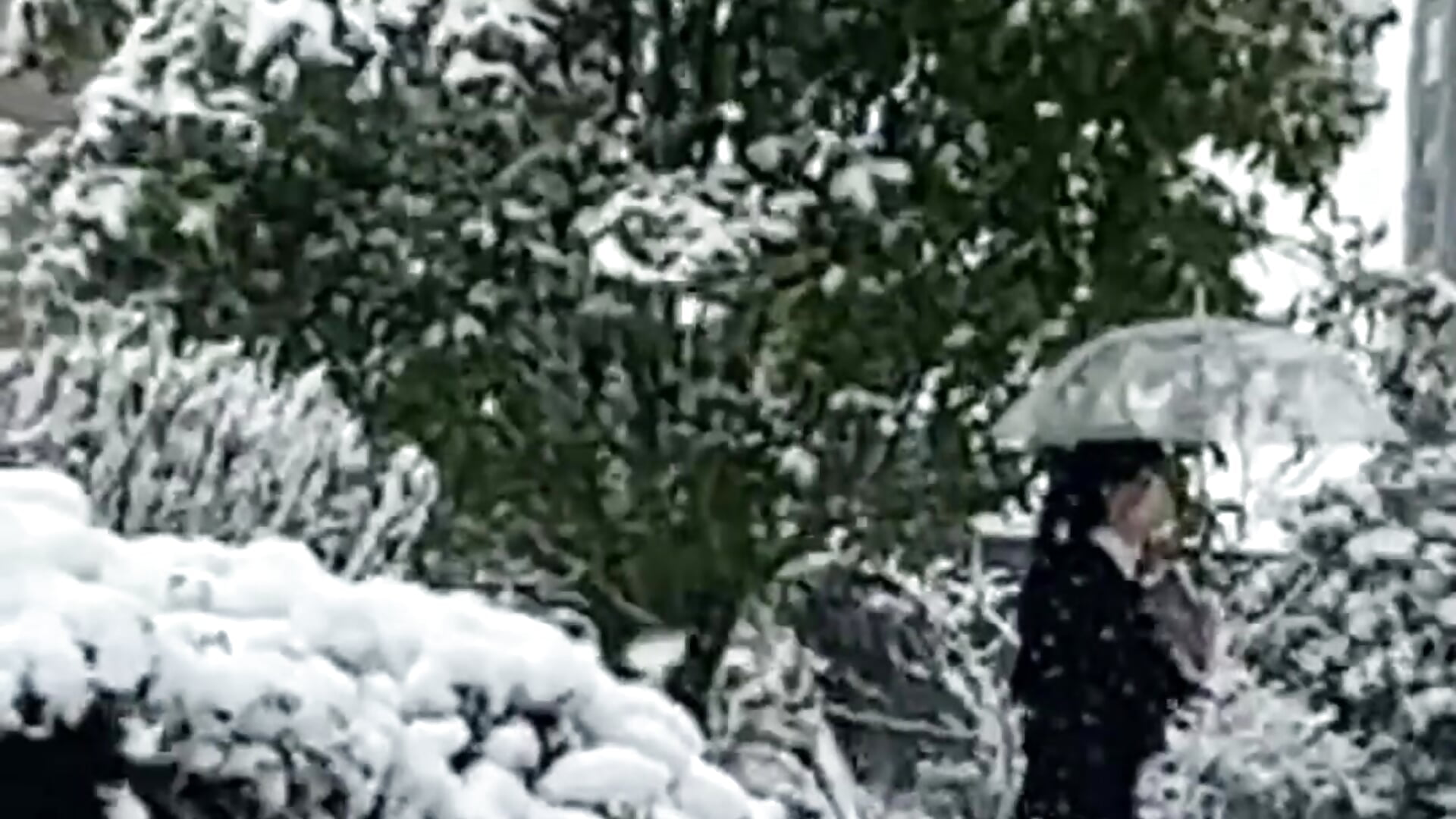 下雪啦，一起来玩雪呀 - Ellie-Baby 캠 모델의 동영상