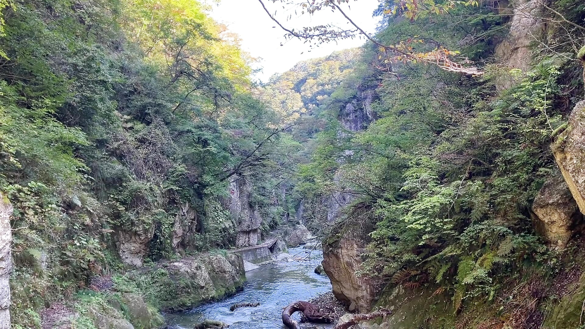 ちょっと遠出して渓谷を歩いてきました👍