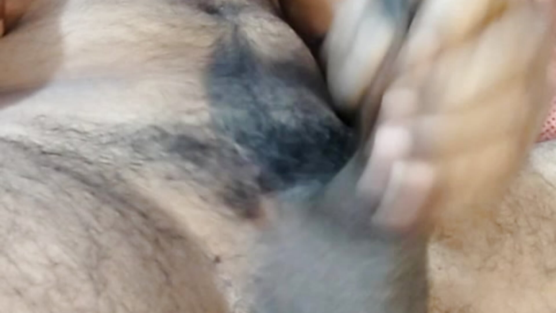 CUM BABY ... 😍😘 - video od modelky/modela Melanesian_Couple