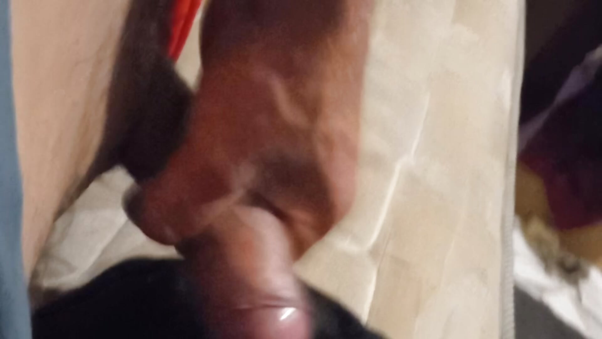 20231207_003501 – video af Homemnorm