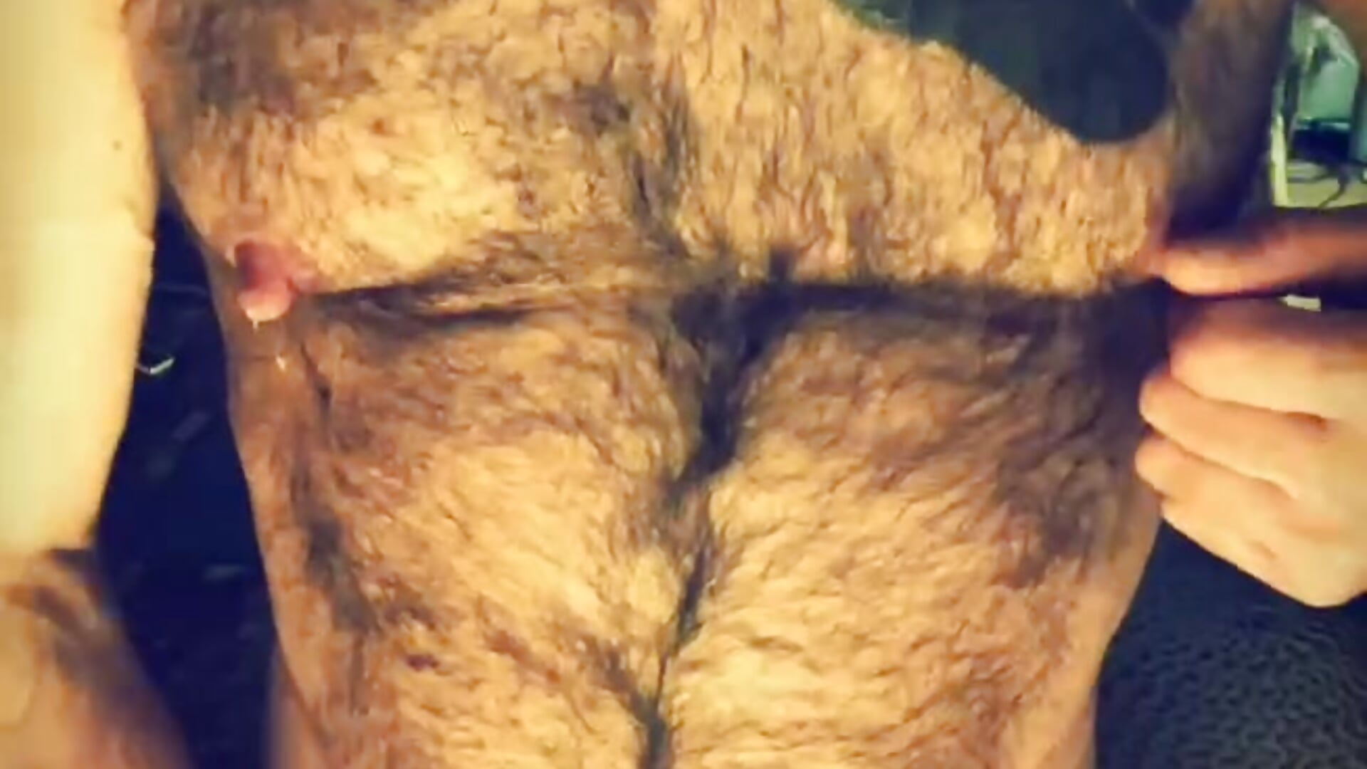 Tits - video by biportugaisparis cam model