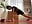 My warm-up - vídeo de SherylPitts