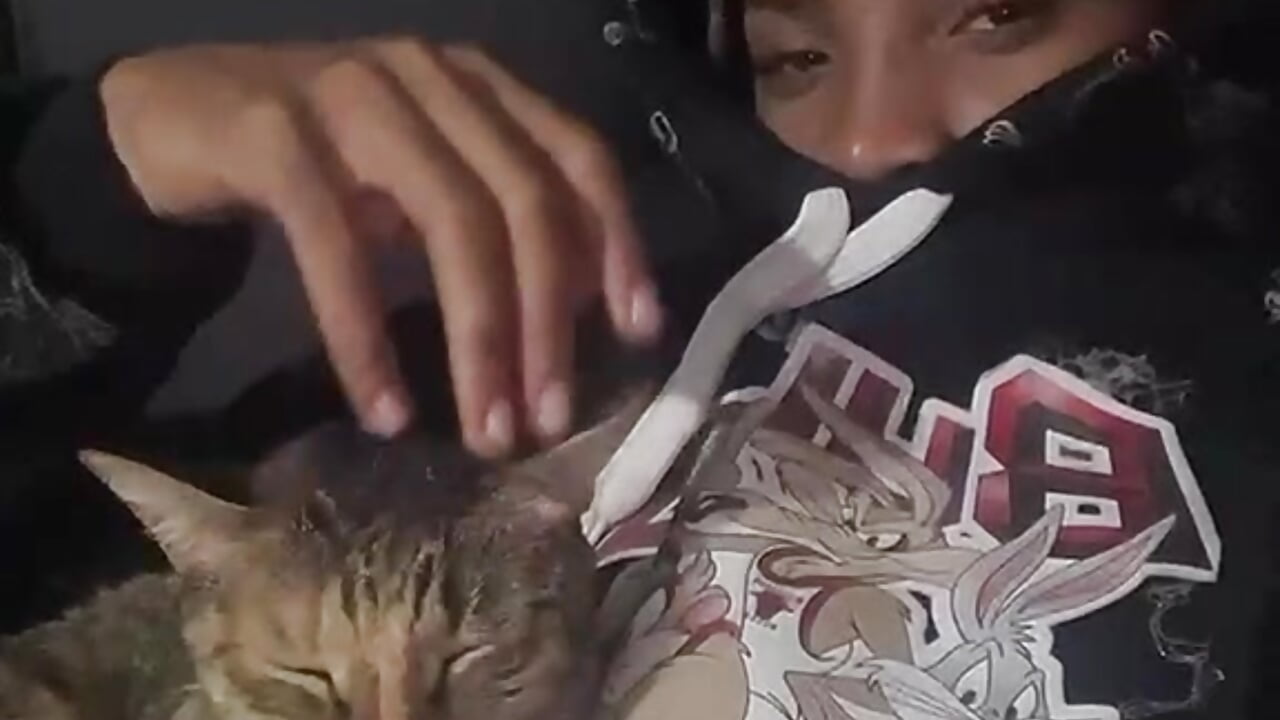 😼