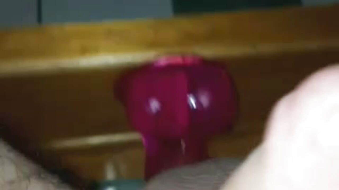 Le cheval c'es génial 😋－カメラキャストのnfeanの動画