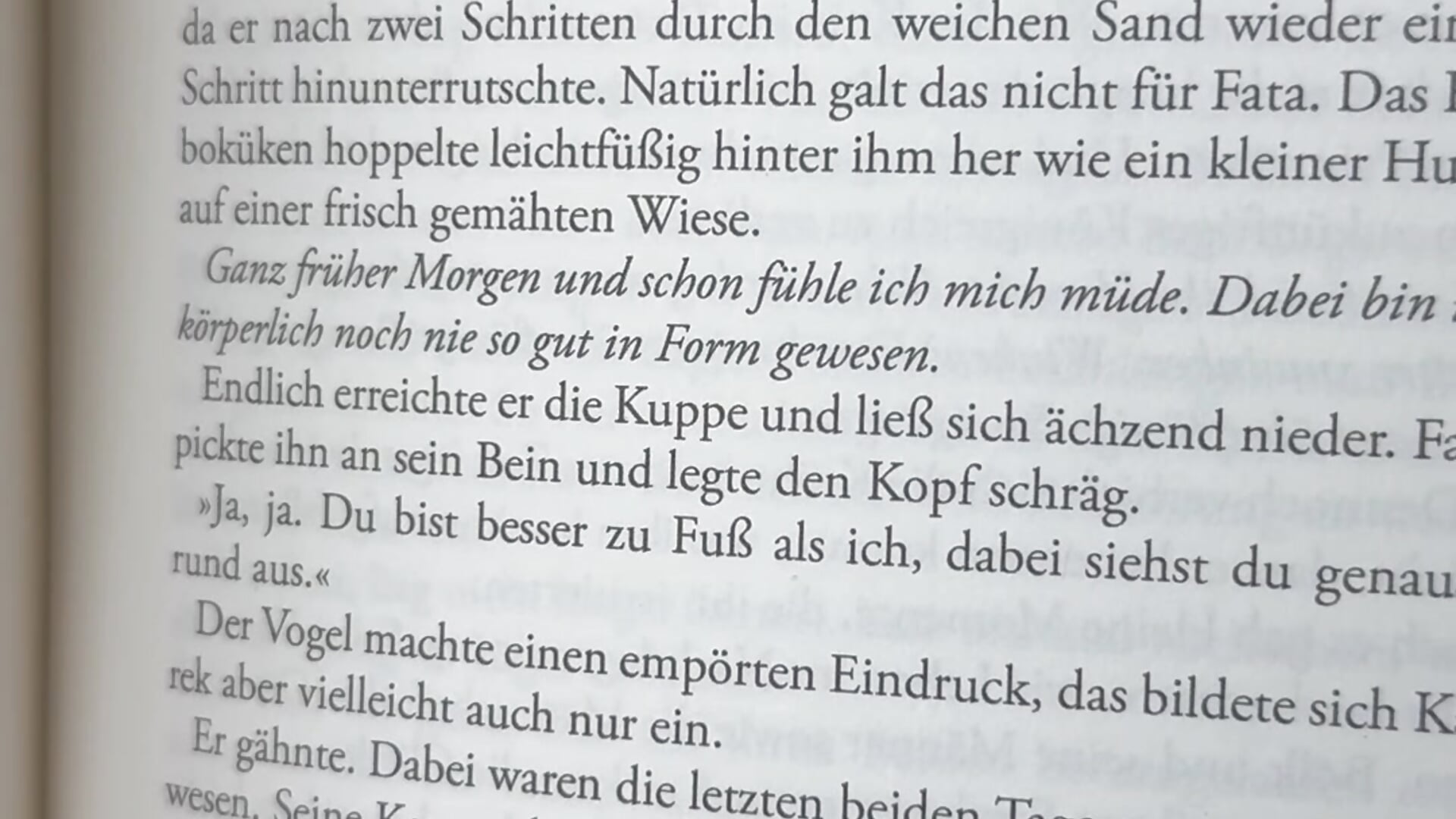 DailyDose-AnnikaRose: Wer kennt oder findet den Fehler? Schreib deine Vermutung in die Kommentare. - video by AnnikaRose cam model