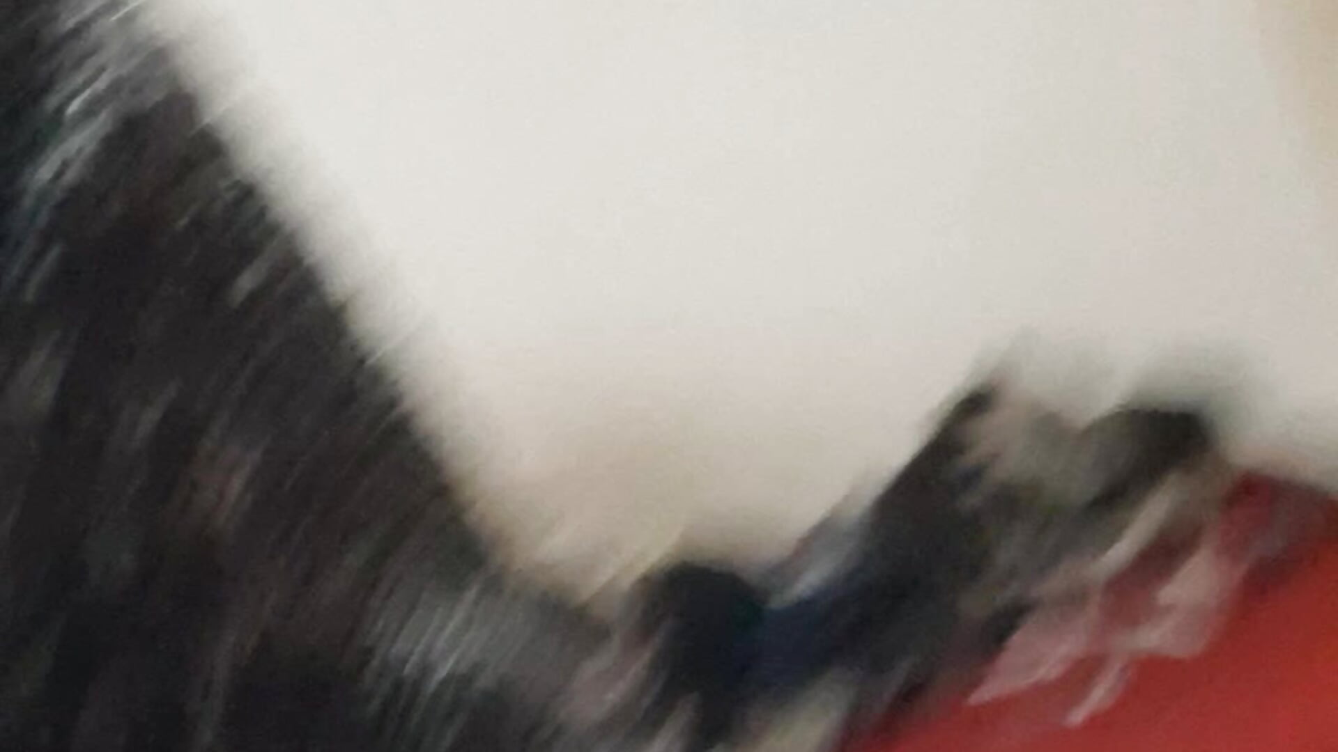 20251004_143201 - video by Adiel3184 cam model