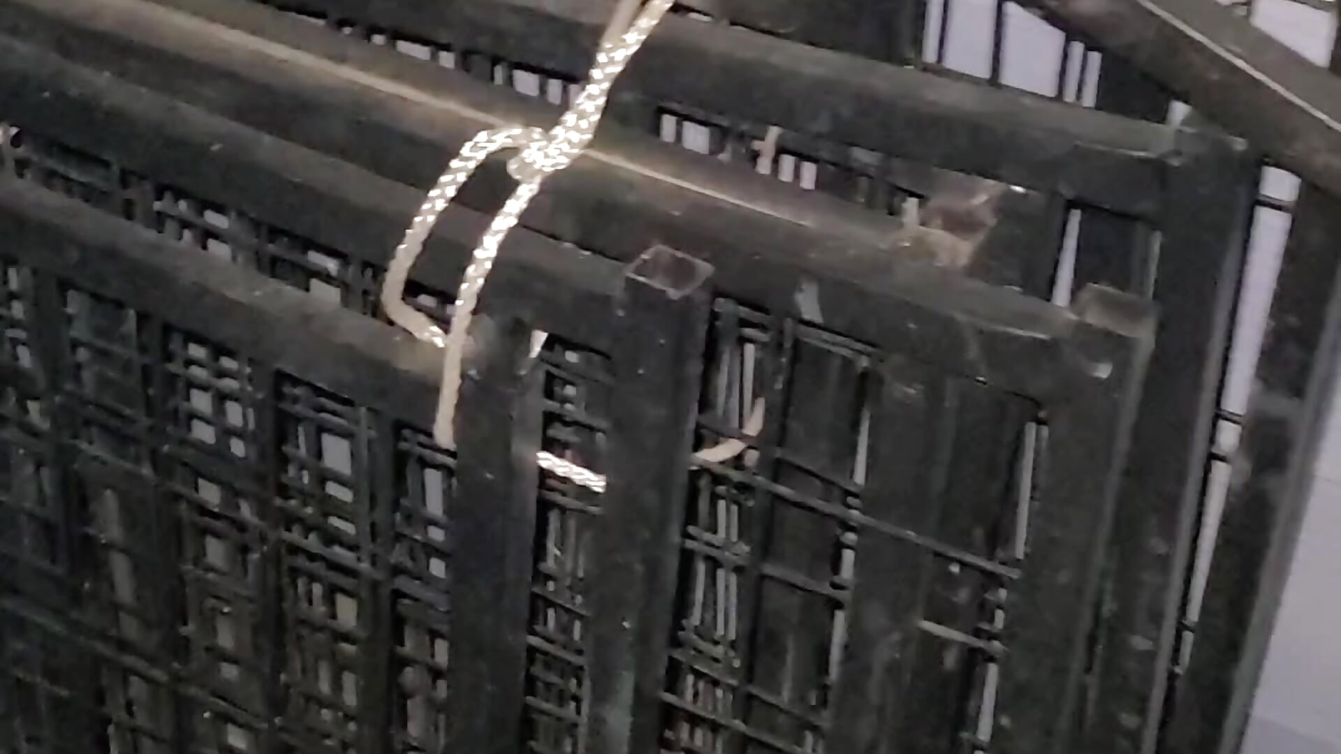 Being a naughty slut outside XD - video di SexyMsLexy modella di cam