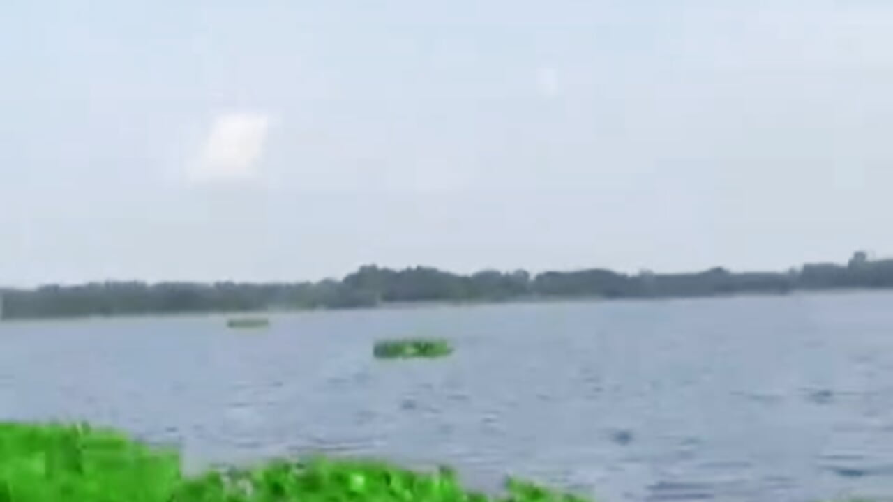 1000014837 - video oleh model kamera HealthyQuiz2