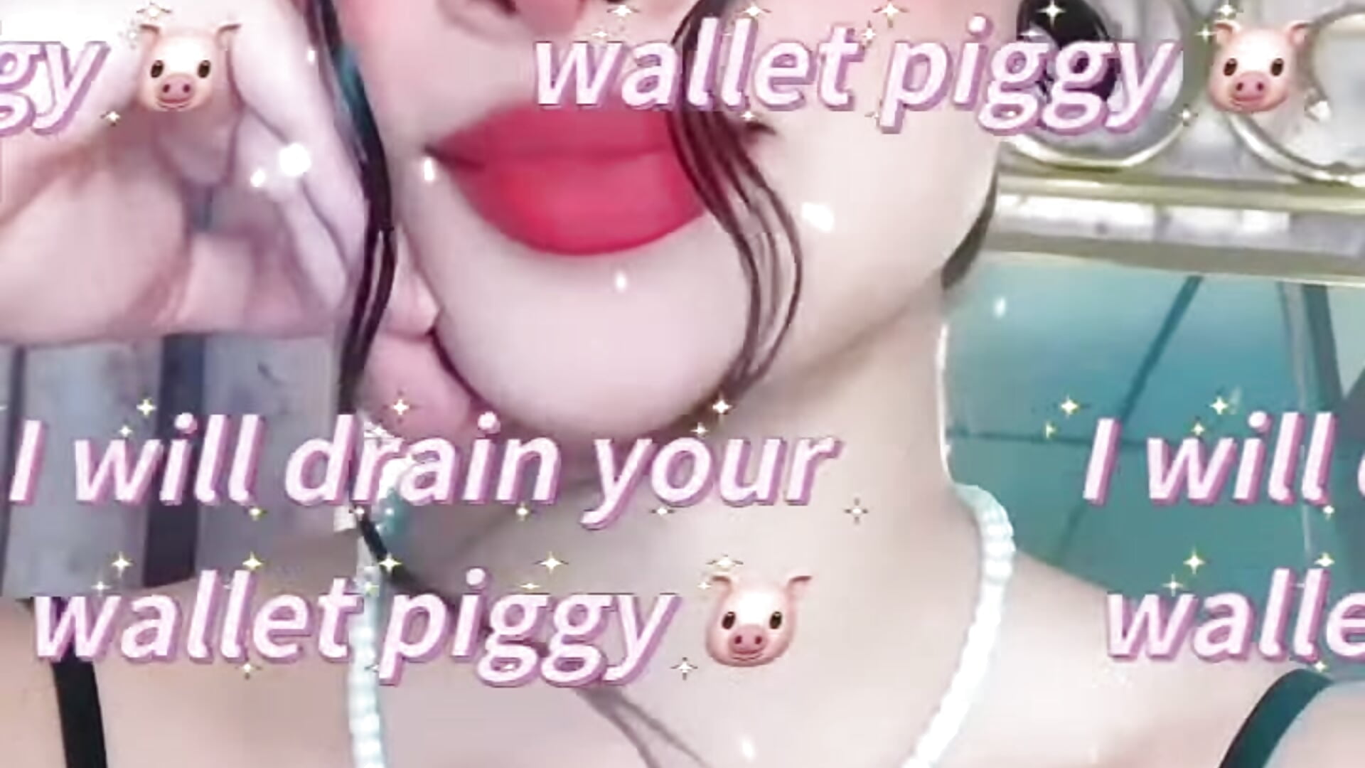 piggy 🐽🐷