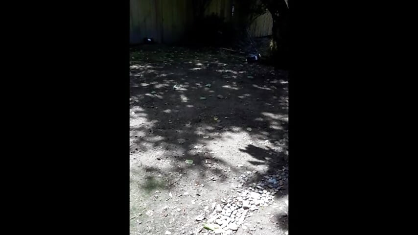 New Soul, old video of my vocal cover.  No people in the video - video by littlelustlamb cam model