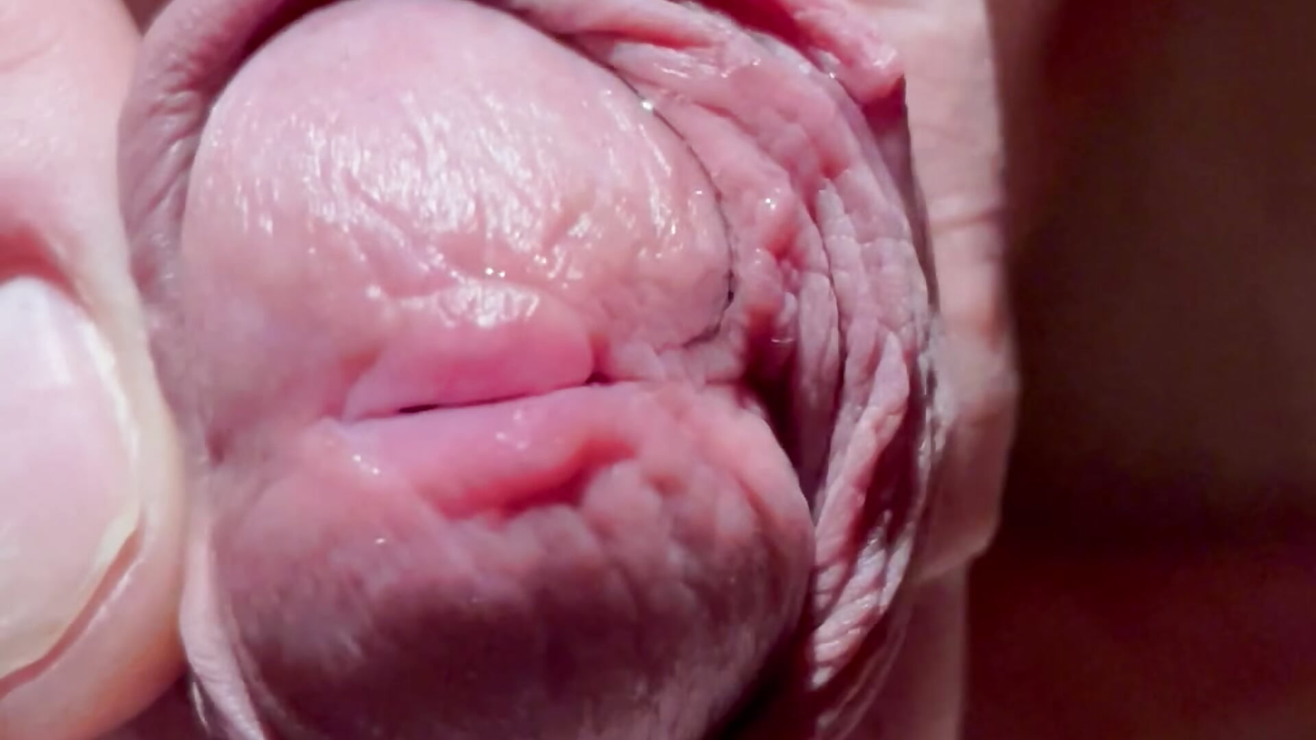 Preparing to cum - video by Mytilus cam model