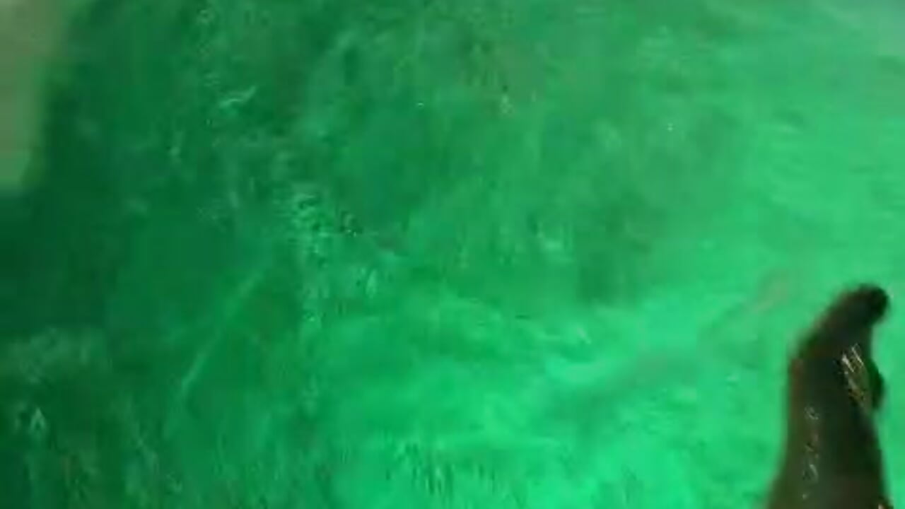 Feets water