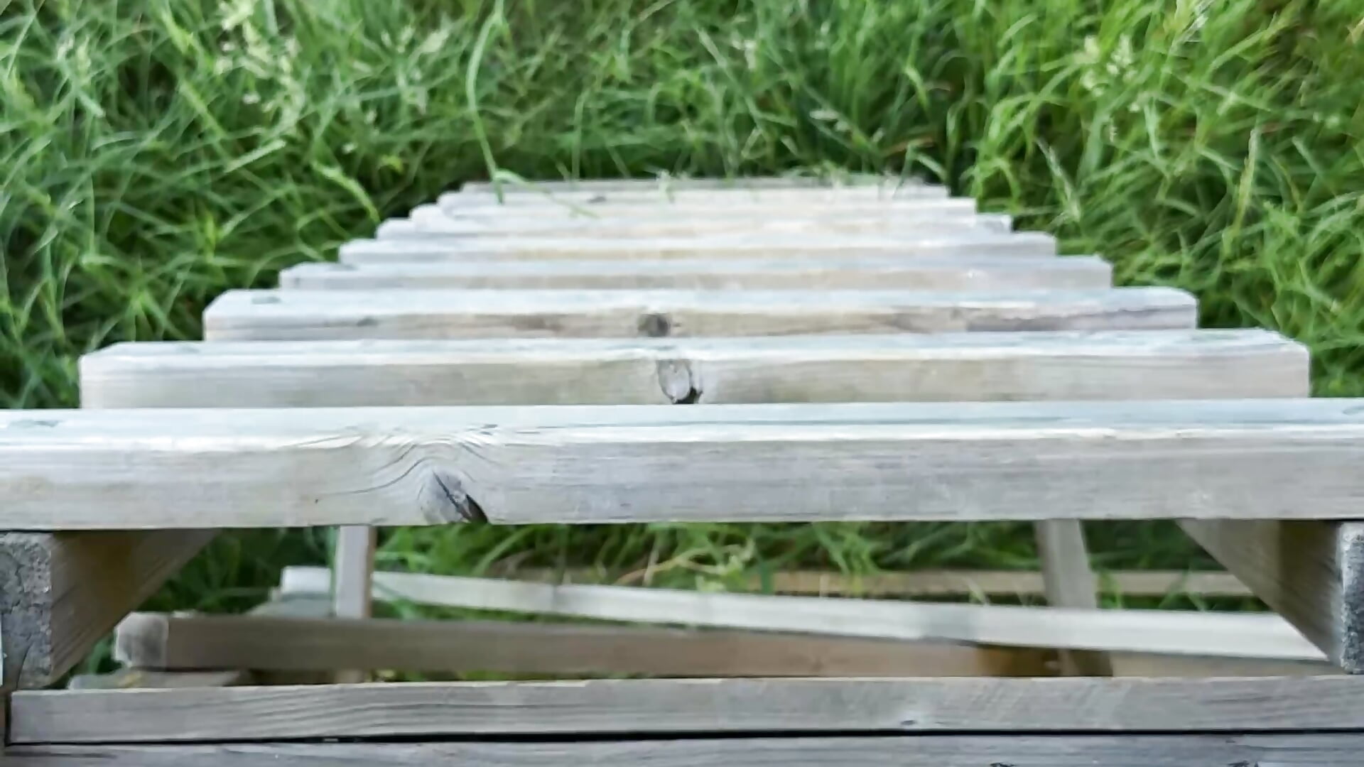 Cum in public, everyone can see me