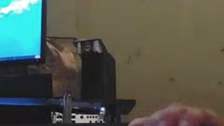 compressed vid2 - video by 420smoker21 cam model