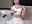 My oiled show tits <3 - Vídeo de Mary_Shake