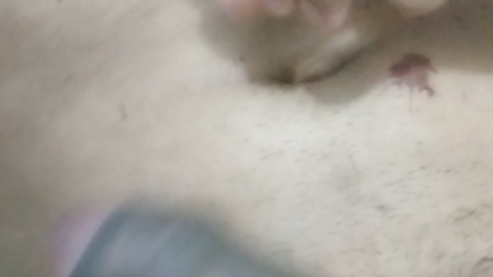 VID_20240124_034023 - video by Evil_Angel_D cam model