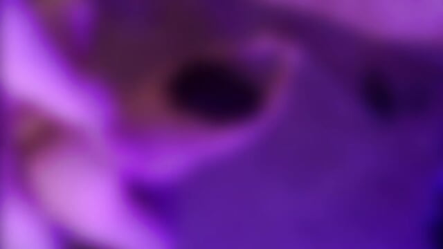 yes fuck me - video by Lolakoala75 cam model