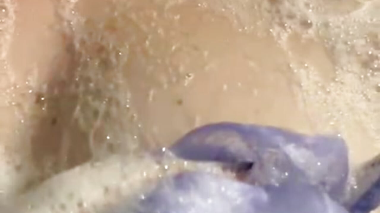 Take with me a shower🍑